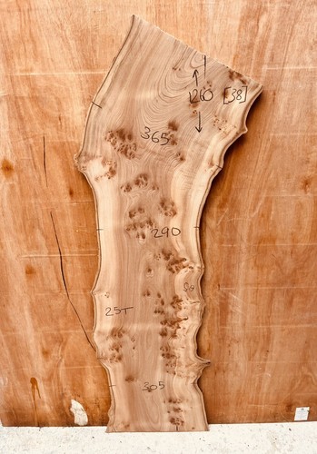 English burr elm slabs - burr,