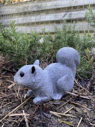Squirrel statue - squirrel,