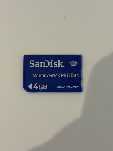 4gb sandisk memory - sandisk, pro