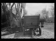 Unharnessing team of horses, Grundy County, Iowa 1940s Old Photo 6
