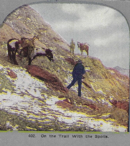 The trail with - with,