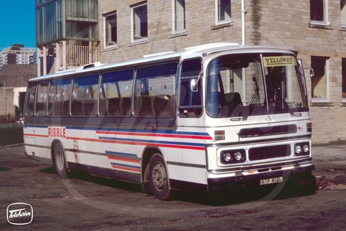 Bus coach photo - bus,