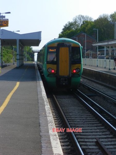 Photo southern emu - photo,