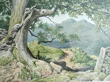 GEOFFREY HERBERT POOLEY Original Watercolour Painting "Path to Nab Scar Rydal"