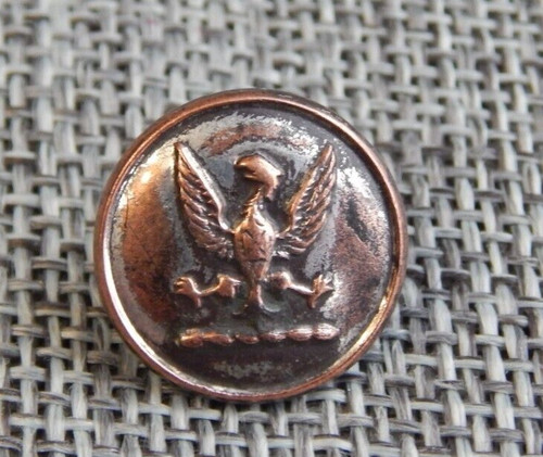 Antique vtg livery button bird - antique,
