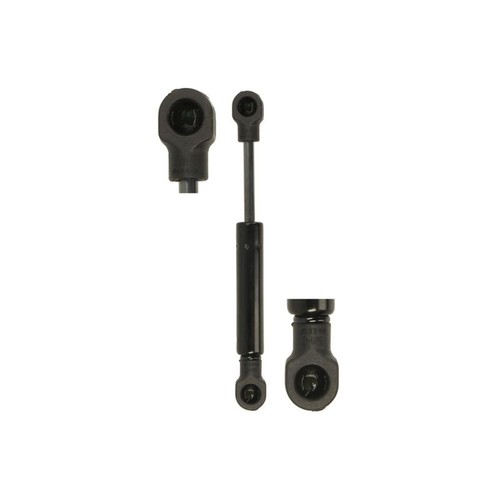 Gas spring trunk - trunk, lid