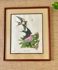 Vintage Framed Bird Art: Grace