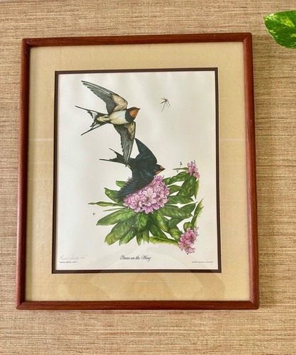Vintage framed bird - vintage, art: