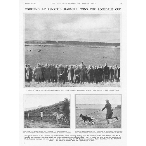 Coursing the lonsdale cup - lonsdale,