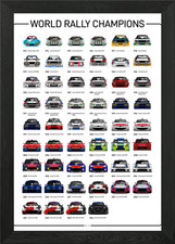 World Rally Champions Car