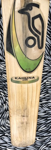 Rare kookaburra kahuna icon - kookaburra,