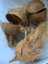 5X Natural Coconut Shell