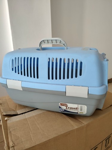Medium plastic pet - plastic,
