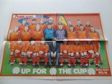 DUNDEE UNITED FC 1993-94 SEASON ORIGINAL POSTER SCOTTISH CUP FINAL WINNERS