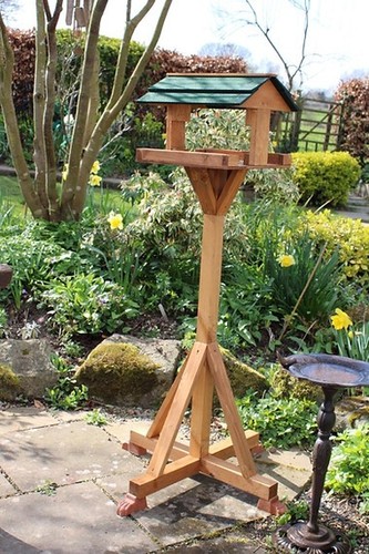 Bird table - bird,
