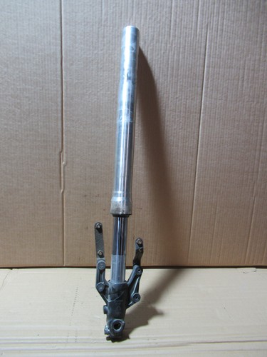 Lexmoto 2024 left - 2024, side