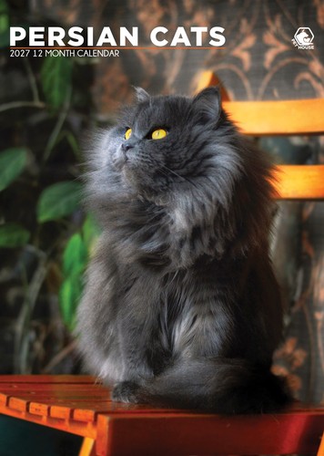 Persian cats calendar 2027 - cats,