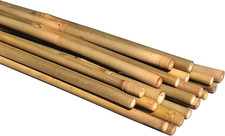20 Count Natural Bamboo Poles