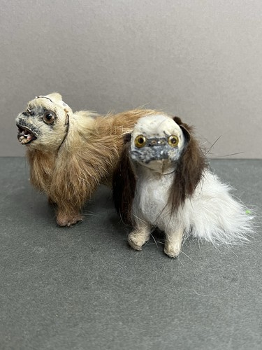 Vintage antique miniature dog - antique,
