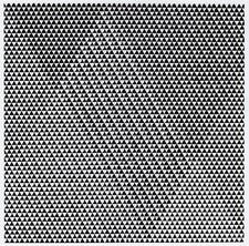 Tremor Bridget Riley print in 11 x 14 inch mount (black or white choice)