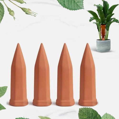 Plant watering stakes - plant,