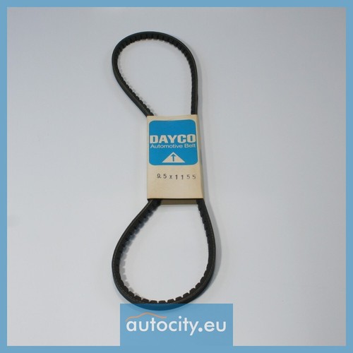 Dayco 5x1155 belt - dayco, 9,5x1155