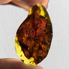STUNNING LEAF inclusion in