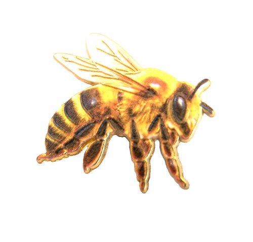 Flying wasp enamel metal - wasp, pin
