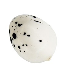 Simulation Bird Eggs Mini