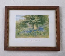 Framed Print "A Surrey Bluebell Wood" By Ellen Warrington c 1935