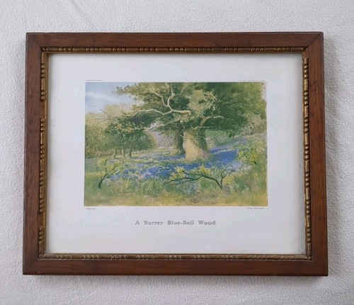 Framed print surrey - framed, "a