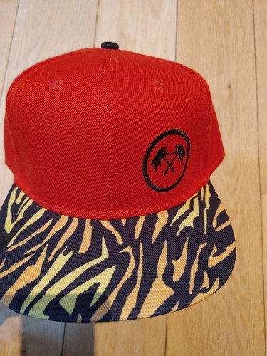 Trainer spotter snapback - spotter, cap