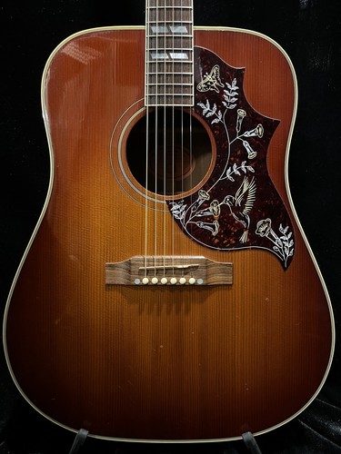 Gibson acoustic guitar - gibson,