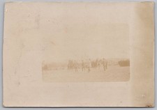 Men with Horses, RP Postcard