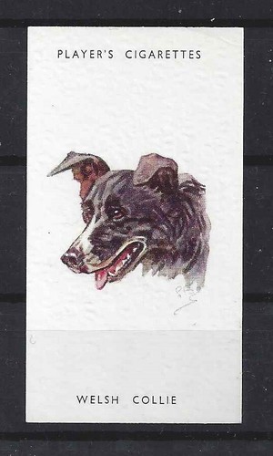 1940 peter biegel dog art - 1940,