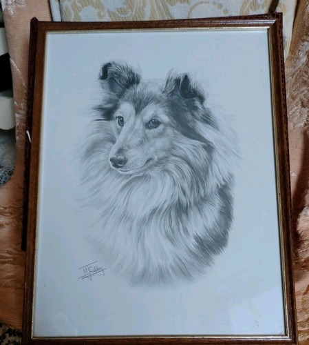 Rough collie dog artist - rough,