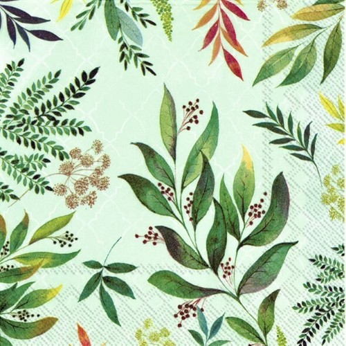 Single paper - x,