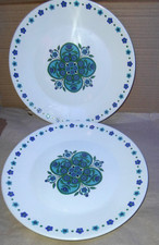 2 Studio J&G Meakin Impact Blue Floral 25.5cm 10" Dinner Plates