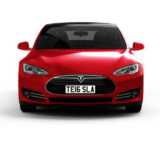 TESLA Private Car Cherished