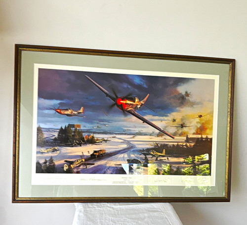 Nicolas trudgian mustang - nicolas,