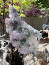 Amethyst Green Lilac Flower