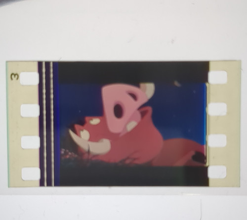 Authentic 35mm film cell - authentic,