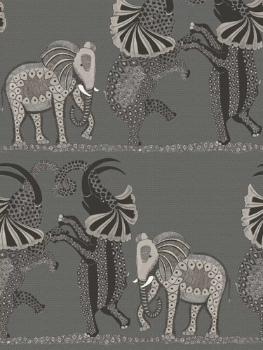 Cole son safari dance - &,
