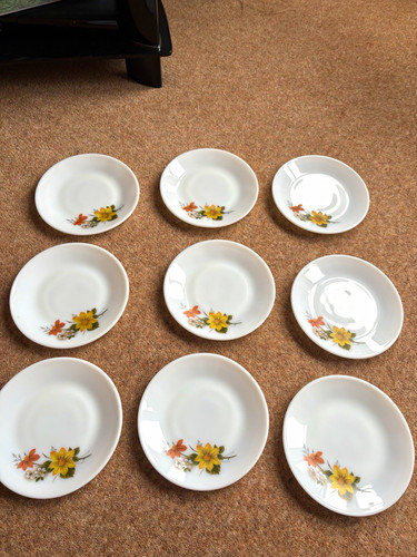 Vintage 1970 autumn glory - vintage,