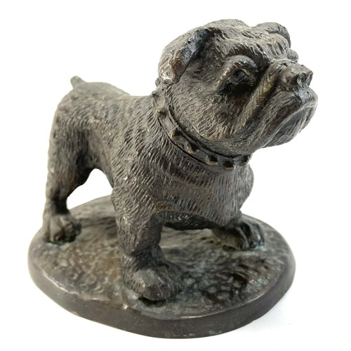 Bronze english bulldog - bronze,
