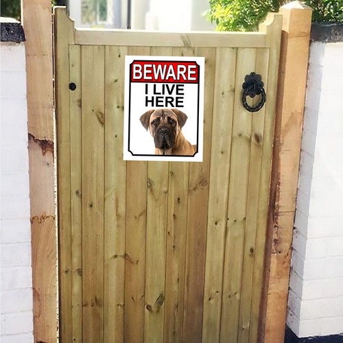 Beware live here bullmastiff - live,