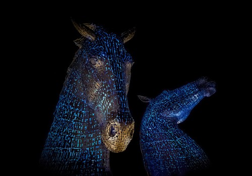 The kelpies night canvas - kelpies,