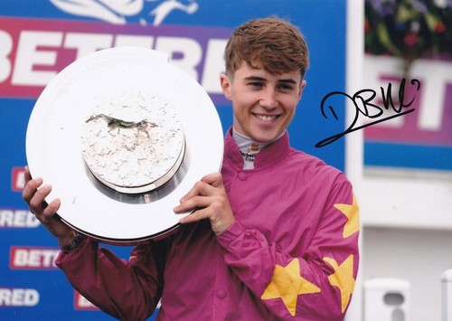 Horse racing dylan browne - dylan,