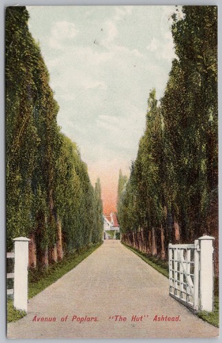 Ashtead avenue the - of,