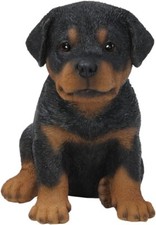 Vivid Arts Pet Pals -